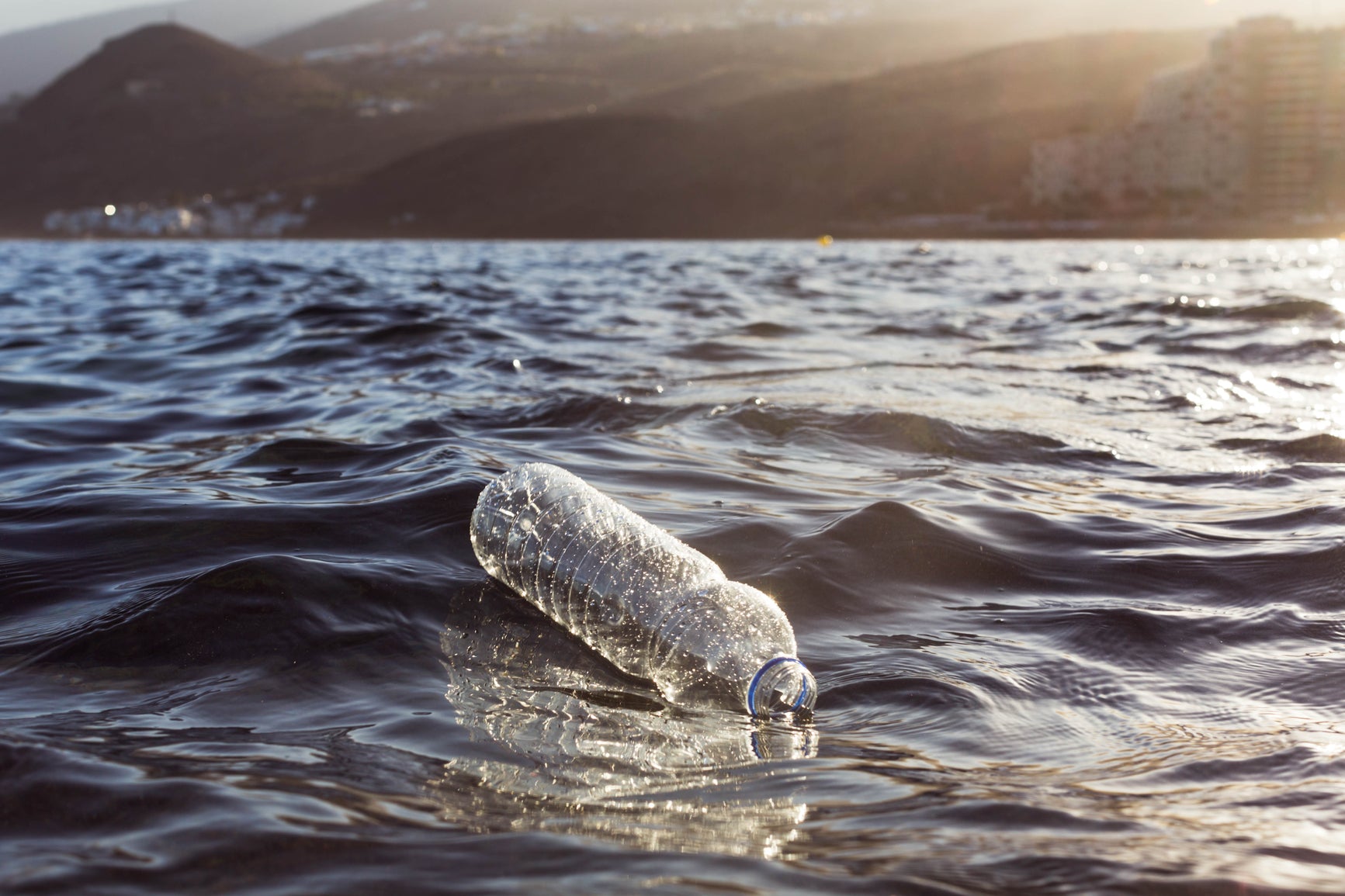 Learn 10 Ways to Keep Plastic Out of the Ocean